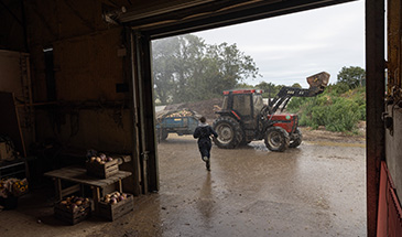 View of a tractor in a farm yard